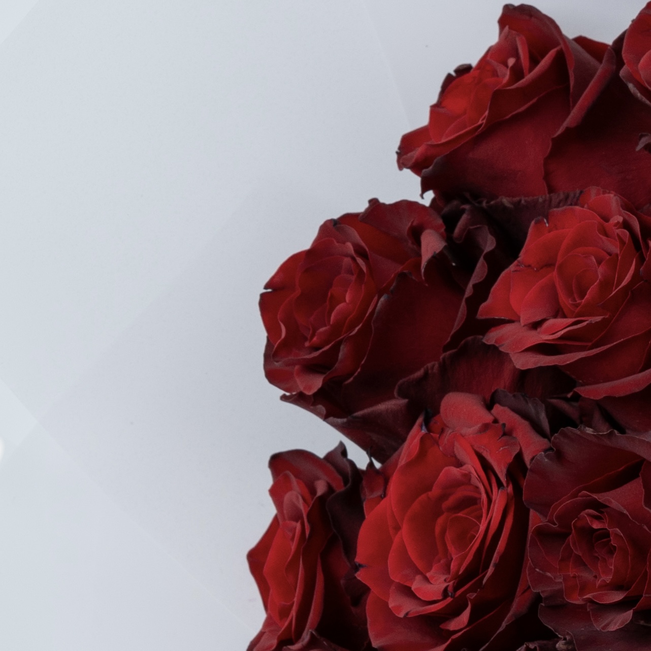 Luxury Red Rose Bouquet | Premium Fresh Red Roses | Flori Mart Qatar 5
