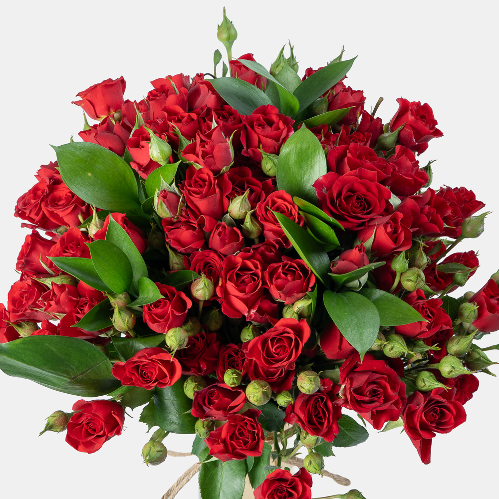 Luxury Red Spray Rose Arrangement in Elegant Gold Vase | Romantic Floral Gift 2