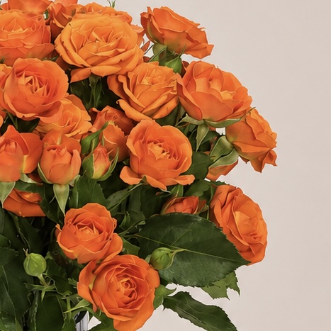 Luxury Orange Spray Roses Arrangement in Elegant Heart-Shaped Ribbed Glass Vase | Flori Mart Qatar 7