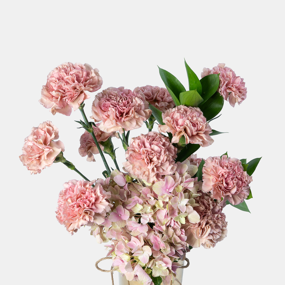 Pink Hydrangea & Carnation Arrangement in Elegant Gold Vase | Luxury Floral Gift 2