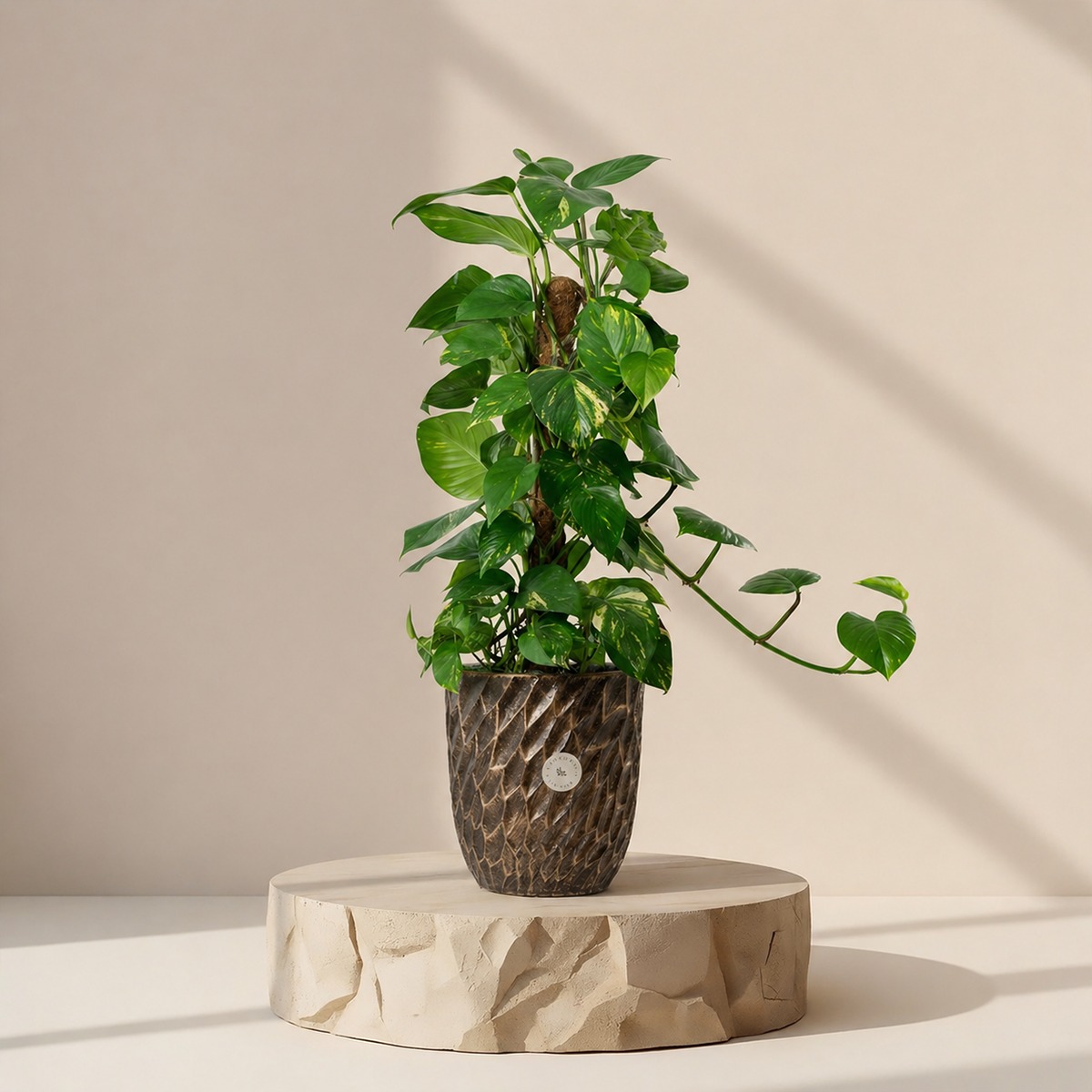 indoor tall planter Outdoor Planter From H Potter, Round Column Flower Garden Planter Indoor Outdoor