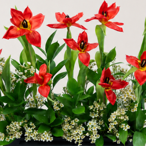 Luxury Red Tulip Arrangement | 12 Red Tulips with White Wax Flowers 2