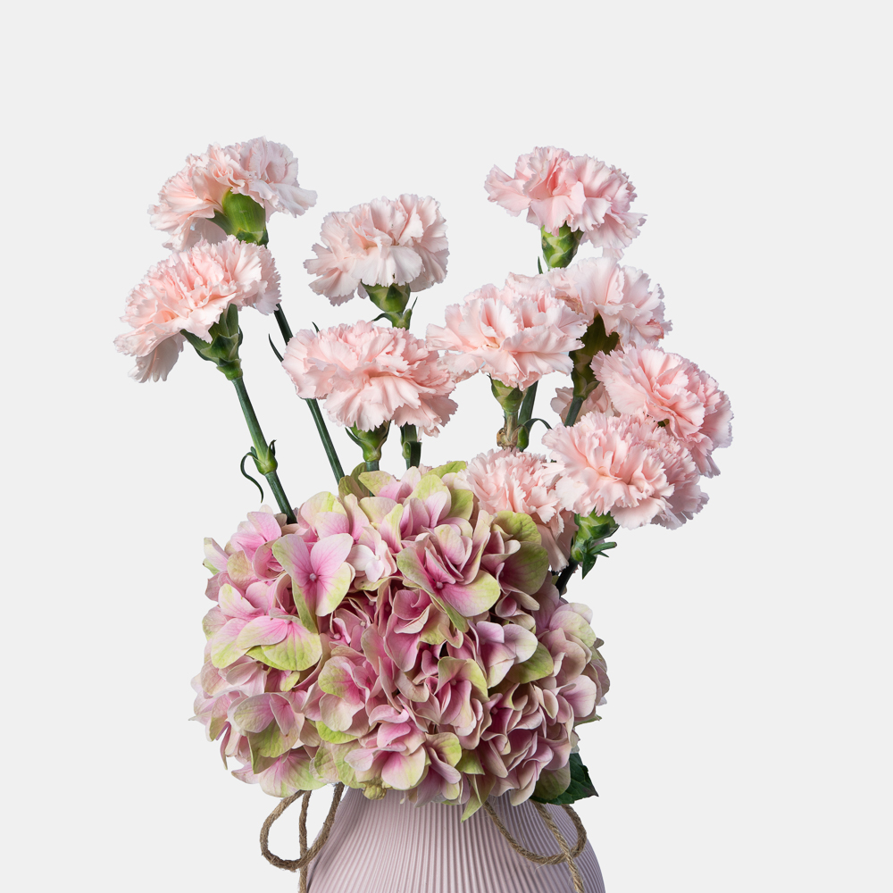 Pink Hydrangea & Carnation Vase Arrangement with Labubu Doll | Elegant Floral Gift 2