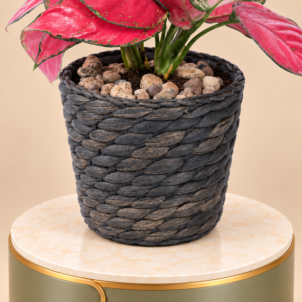 Pink Aglaonema Plant in Black Woven Pot 2
