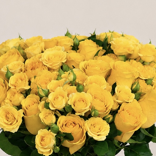 Luxury Yellow Rose Arrangement in Elegant Black Vase | Premium Fresh Flowers | Flori Mart Qatar 6