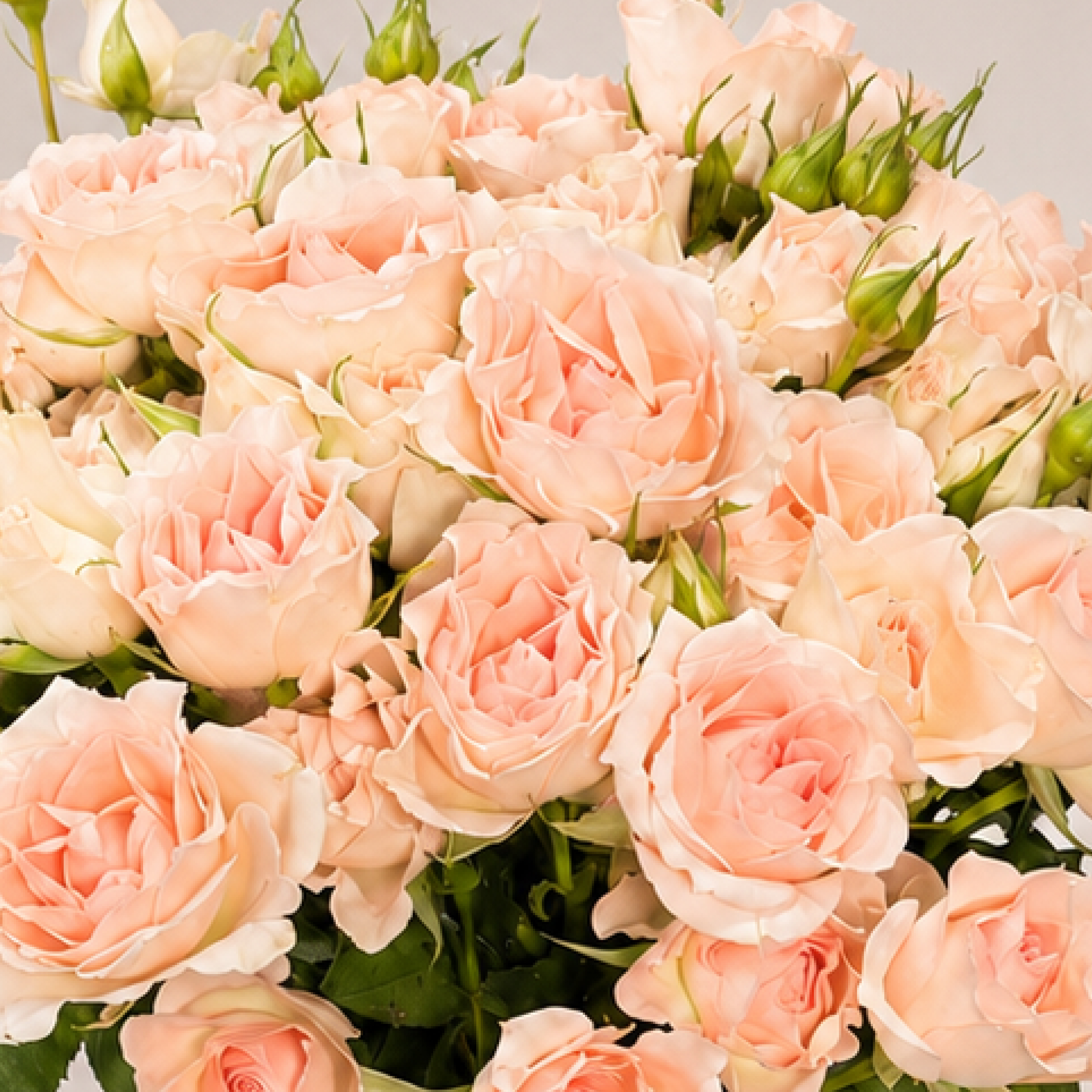 Luxury Peach Spray Rose Arrangement | Fresh Spray Roses in Elegant Glass Vase | Flori Mart Qatar 4