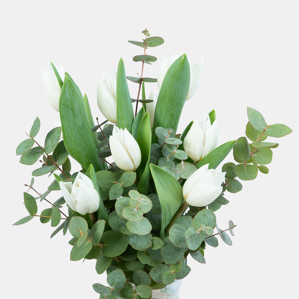 White Tulip & Eucalyptus Arrangement in Glass Vase | Elegant Fresh Flowers | Flori Mart Qatar 2