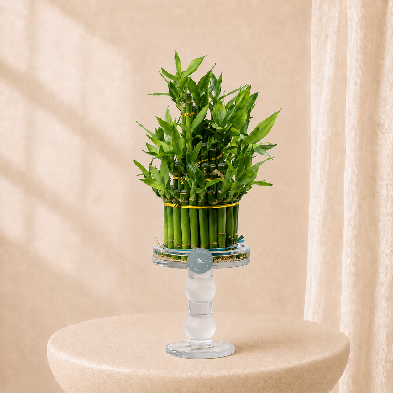 Lucky Bamboo Arrangement in Elegant Glass Stand | Luxury Indoor Plant Décor