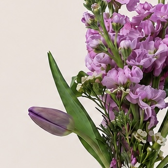 Lavender Tulip & Stock Flower Arrangement in Ceramic Vase | Elegant Spring Flowers | Flori Mart Qatar 4