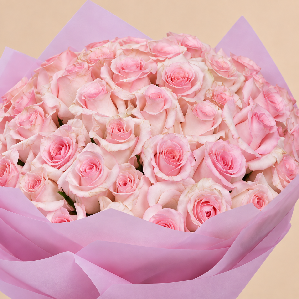Pink Rose Bouquet with Pink Wrap | 50 Roses 4