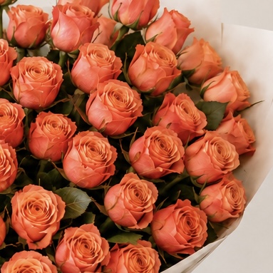 Luxury Medium Peach Rose Bouquet | 25 Premium Peach Roses 6