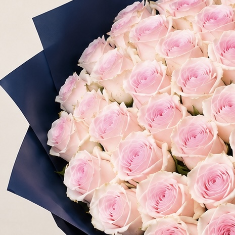 Luxury Large Light Pink Rose Bouquet in Navy Wrapping | 50 Premium Roses 7