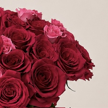 Luxury Red & Pink Rose Arrangement in Black Ceramic Vase | Premium Fresh Roses | Flori Mart Qatar 5