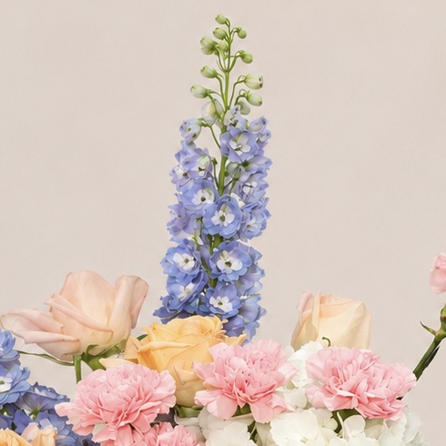 Luxury Mixed Flower Arrangement in Elegant White Box | Premium Fresh Flowers | Flori Mart Qatar 6