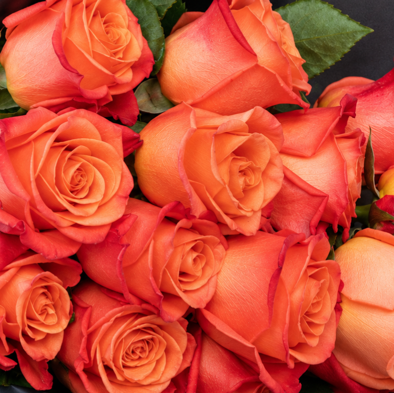 Orange Rose Bouquet with Black Wrap | 15 Roses 4