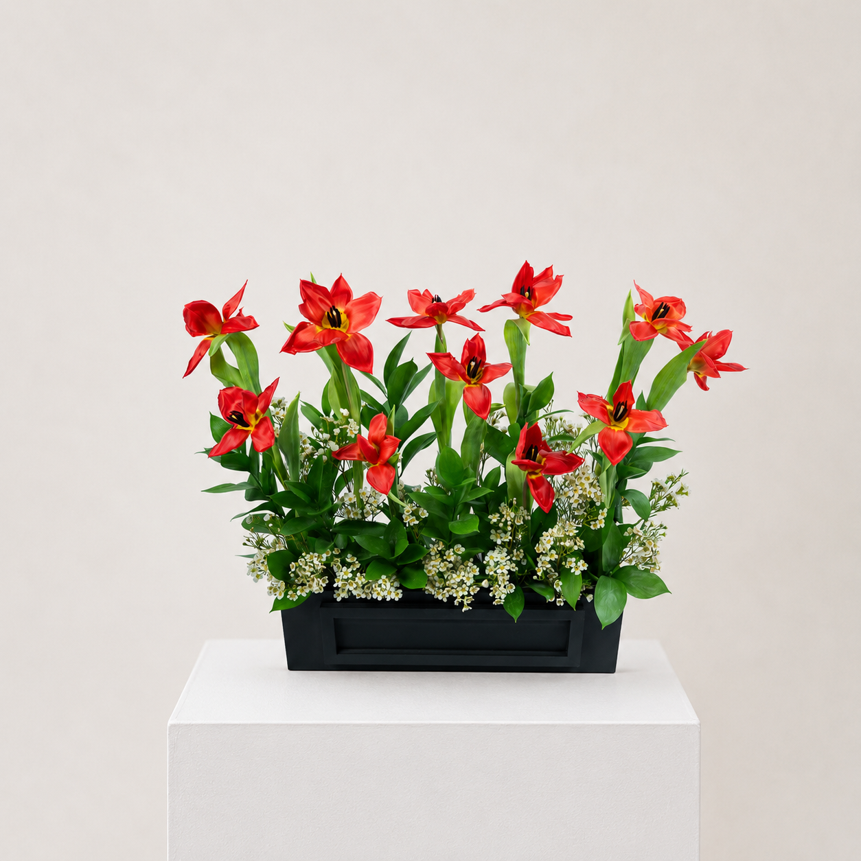 Luxury Red Tulip Arrangement | 12 Red Tulips with White Wax Flowers