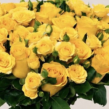 Luxury Yellow Rose Arrangement in Elegant Crystal Glass Vase | Premium Fresh Roses | Flori Mart Qatar 6