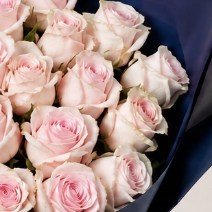 Luxury Small Light Pink Rose Bouquet in Navy Wrapping | 15 Premium Roses 7