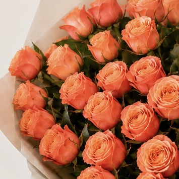 Luxury Medium Peach Rose Bouquet | 25 Premium Peach Roses 7