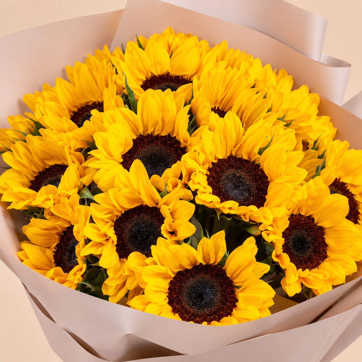 Sunflower Bouquet with Beige Wrap | 25 Sunflowers 4