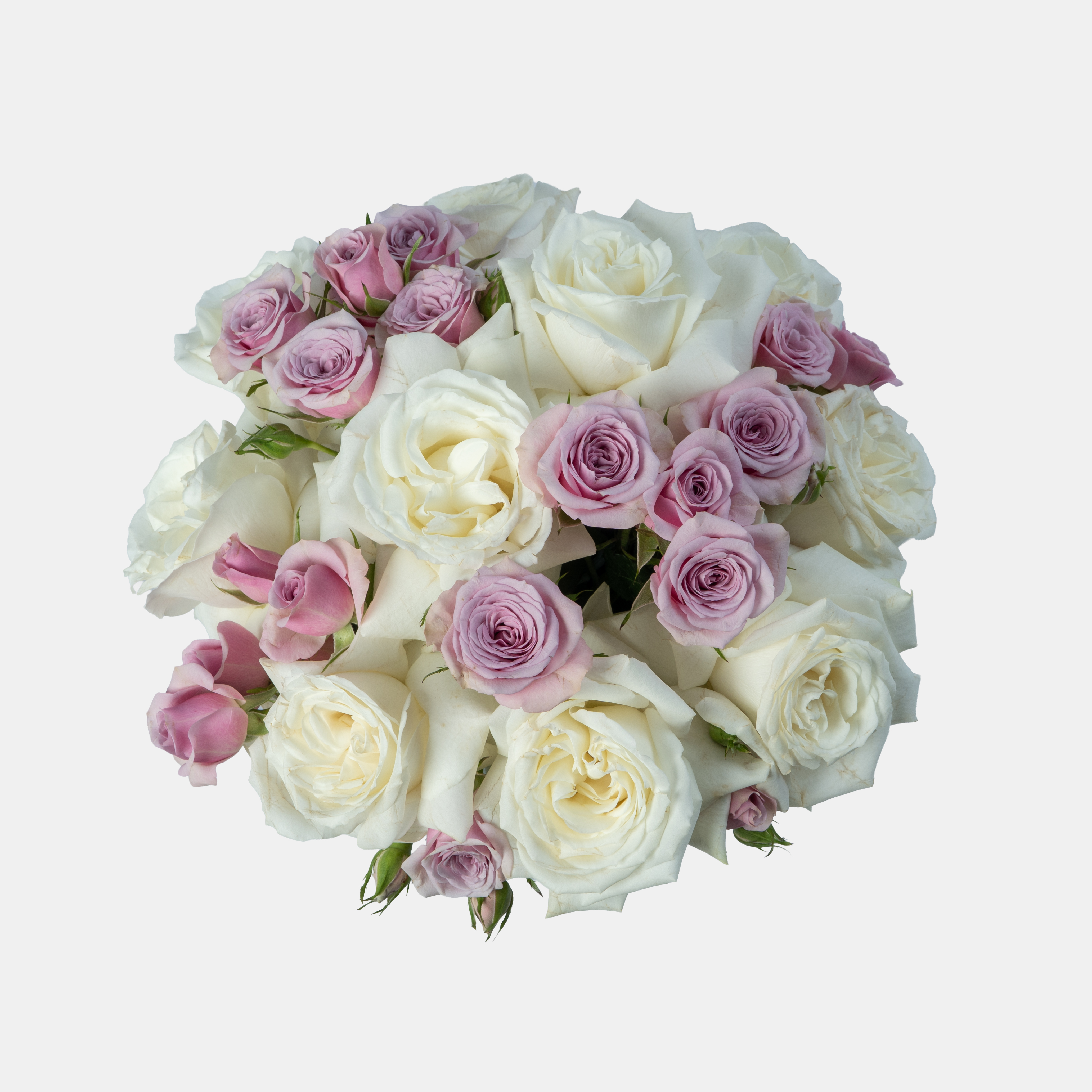 Luxury White & Pink Rose Arrangement in Gray Ceramic Pot | Elegant Floral Gift for Special Occasions 2
