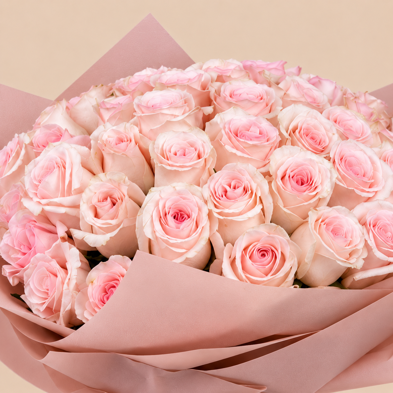 Pink Rose Bouquet with Pink Wrap | 50 Roses 4