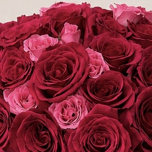 Luxury Red & Pink Rose Arrangement in Black Ceramic Vase | Premium Fresh Roses | Flori Mart Qatar 6