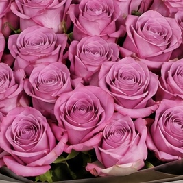 Luxury Large Lilac Rose Bouquet | 50 Premium Lilac Roses 7