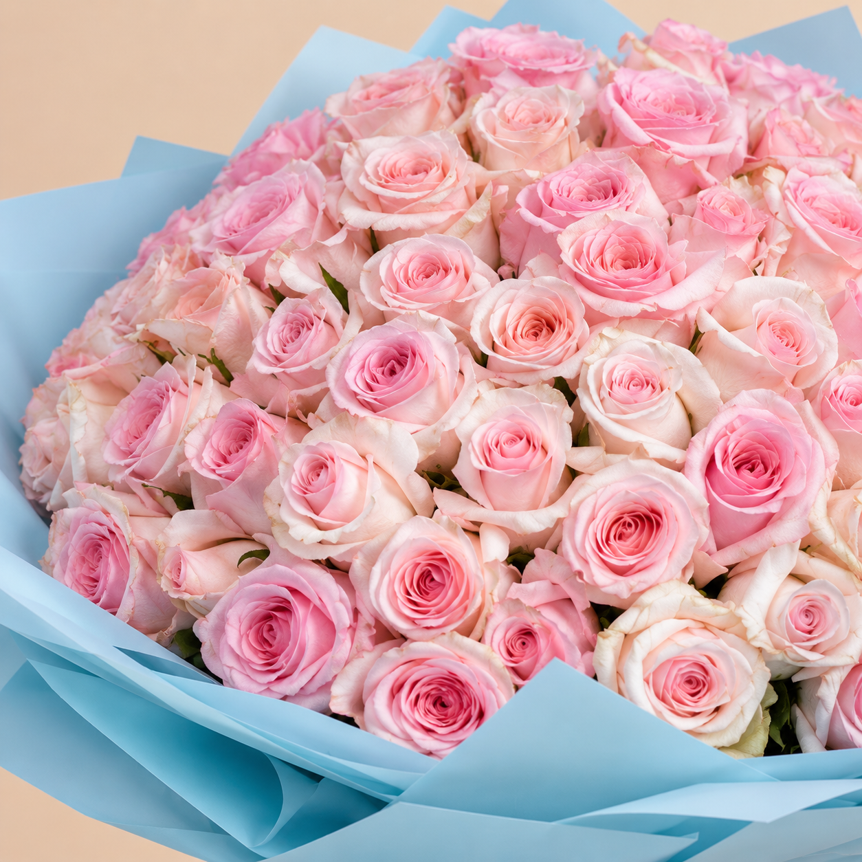 Pink Rose Bouquet with Blue Wrap | 100 Roses 3