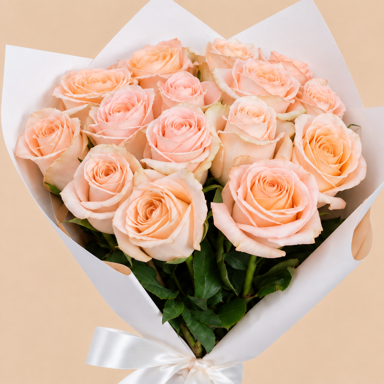 Peach Rose Bouquet with White Wrap | 15 Roses 4