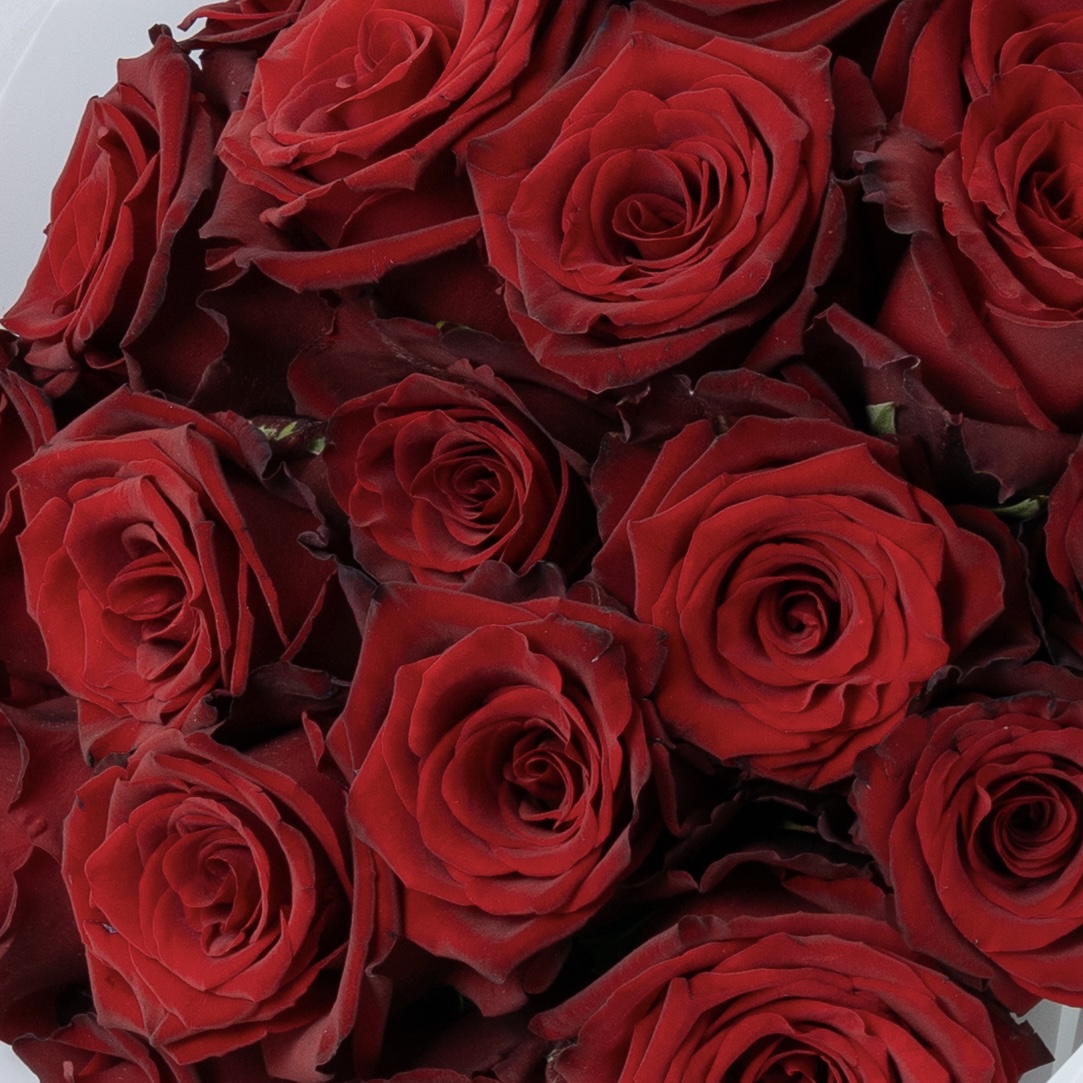 Luxury Red Rose Bouquet | Premium Fresh Red Roses | Flori Mart Qatar 3
