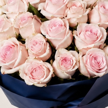 Luxury Small Light Pink Rose Bouquet in Navy Wrapping | 15 Premium Roses 5