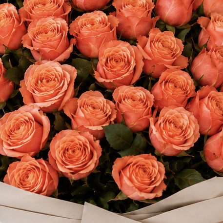 Luxury Large Peach Rose Bouquet | 50 Premium Peach Roses 5