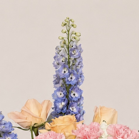 Luxury Mixed Flower Arrangement in Elegant Black Ceramic Vase | Roses, Hydrangea, Delphinium & Carnations | Flori Mart Qatar 6