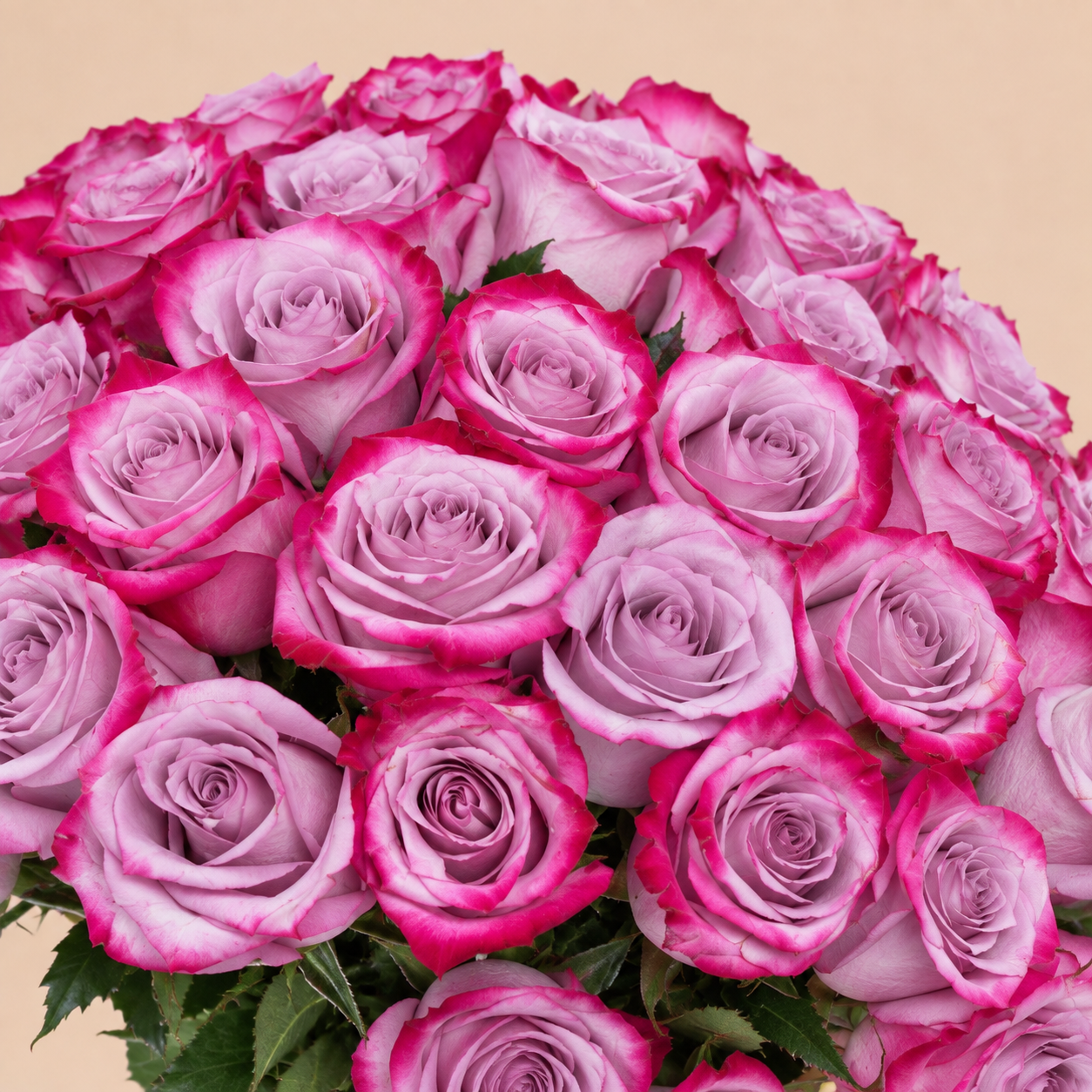 Pink Rose Bouquet with Lilac Wrap | 100 Roses 4