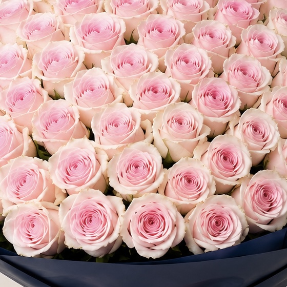 Luxury Large Light Pink Rose Bouquet in Navy Wrapping | 50 Premium Roses 3