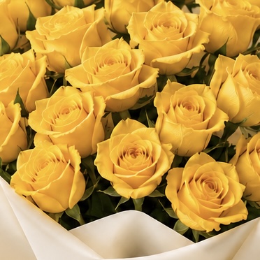 Medium Yellow Rose Bouquet | 25 Premium Yellow Roses 7