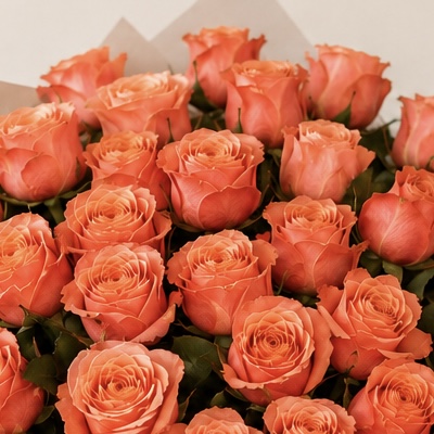 Luxury Large Peach Rose Bouquet | 50 Premium Peach Roses 7