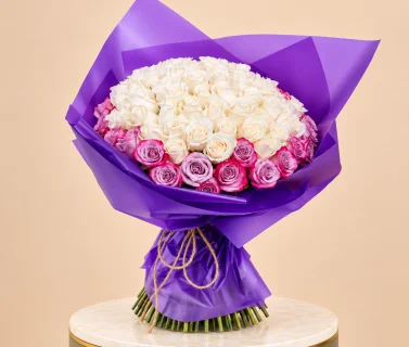 White & Pink Rose Bouquet with Purple Wrap | 100 Roses