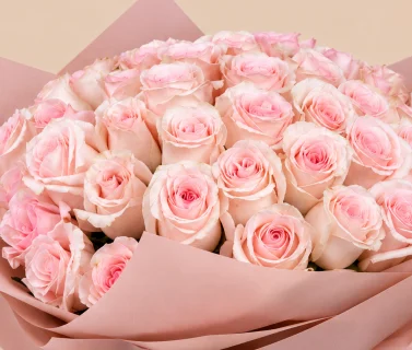 Pink Rose Bouquet with Pink Wrap | 50 Roses 4