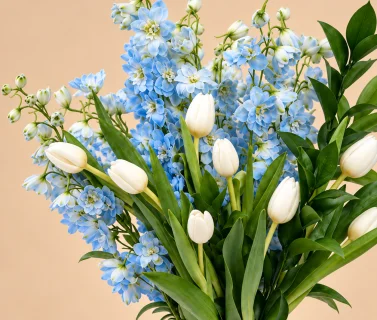 Blue Delphinium & White Tulips in White Vase 4
