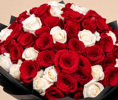 Red and White Rose Bouquet with Black Wrap | 100 Roses 4