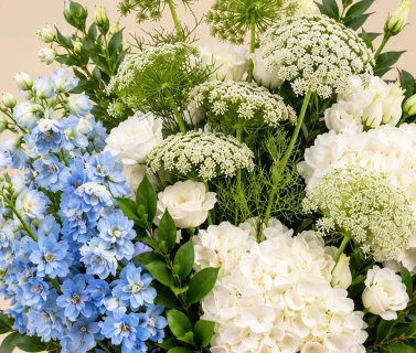 White Hydrangea & Blue Delphinium in White Vase 4