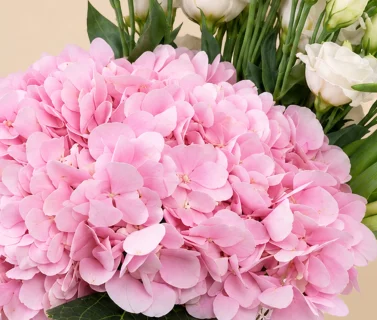 Pink Hydrangea, White Lisianthus & White Tulips in Glass Vase 4