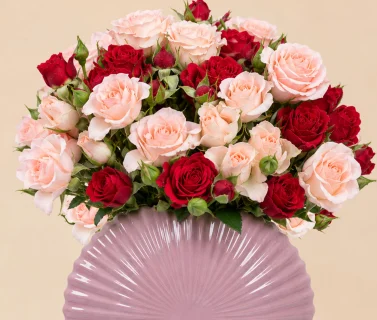 Red & Light Pink Roses in Pink Vase 2