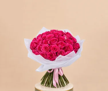 Deep Pink Rose Bouquet with White Wrap | 25 Roses 1