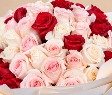 Red, Pink & White Rose Bouquet with White Wrap | 50 Roses 4