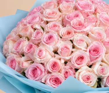 Pink Rose Bouquet with Blue Wrap | 100 Roses 3