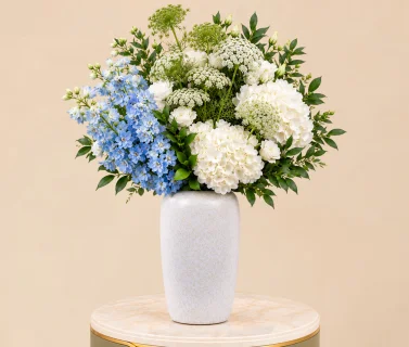 White Hydrangea & Blue Delphinium in White Vase 1