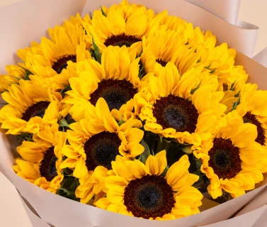 Sunflower Bouquet with Beige Wrap | 25 Sunflowers 4